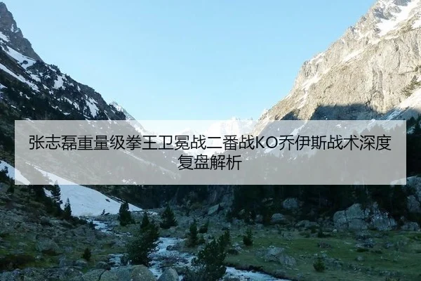 张志磊重量级拳王卫冕战二番战KO乔伊斯战术深度复盘解析